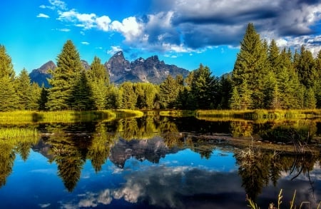 Reflections - sky, lake, trees, mountain, shore, serenity, reflections, forest, mirror, beautiful, clouds