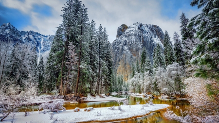 Winter nature - ice, mountain, trees, landscape, winter, rocks, creek, cold, frost, snow, beautiful, frozen, cliffs