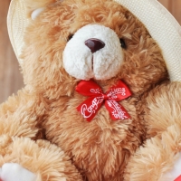 Teddy Bear