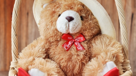 Teddy Bear - toy, ribbon, cute, teddy bear