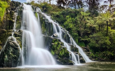 Awharda Falls, Karangahake Gorge, New Zealand - waterfall, trees, nature, new zealand