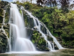 Awharda Falls, Karangahake Gorge, New Zealand