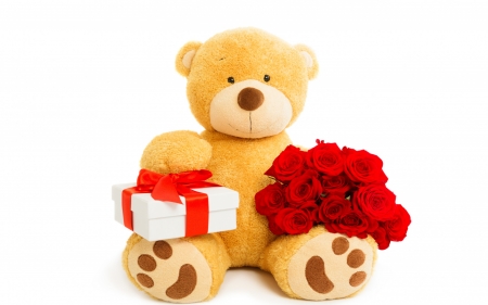 Happy Valentine's Day! - red, flower, rose, cute, white, toy, card, valentine, teddy bear, gift