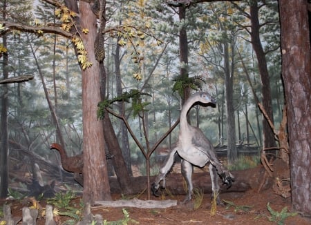 Bird-Like Dinosaur - bird-like, omnivorous, feathers, extinct, campanian age, omnivore, therapod, dinosaur, small, troodon