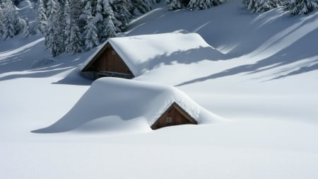 Hidden - winter, nature, cabin, snow