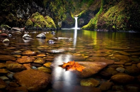 Forest Waterfalls - nature, fall, forest, waterfalls, stones, waterfall, rocks