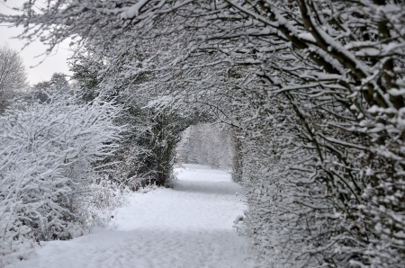 Walking thru the Snow....