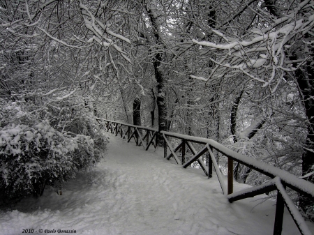 A Walk in the Park.... - snow, winter, walk, park