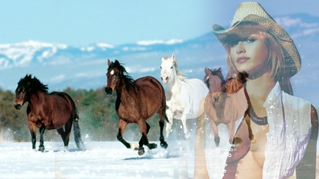 Cowgirl and Horses - horses, mountains, cowgirl, beauty, wild horses, woman, snow