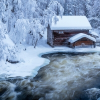 Winter