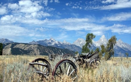 old remains - mountain, wagon, tree, field, grass