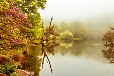 SPRING reflection form the PARK