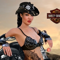 Harley Davidson Cowgirl