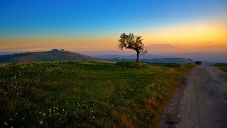 Natures Beauty - sky, tree, nature, landscape