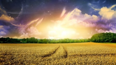 Amazing Sky - landscape, field, nature, sky