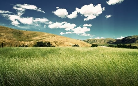 Green Field - field, nature, green, sky