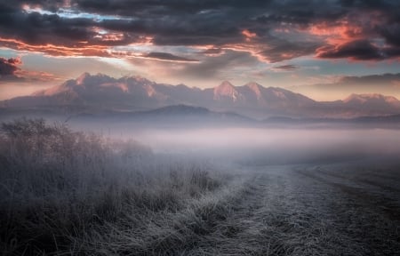 Foggy Morning - fog, nature, mountain, landscape