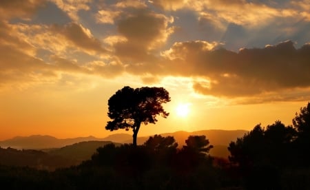 Beautiful Sky - sky, tree, nature, shadow