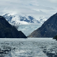 Floating Ice on the Lake