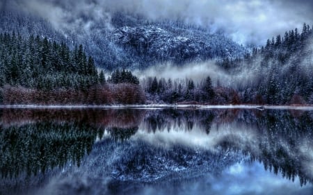 Lake Reflection - lake, forest, mountains, reflection, fog, trees, nature