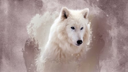 White Fur - white, animal, wolf, wild