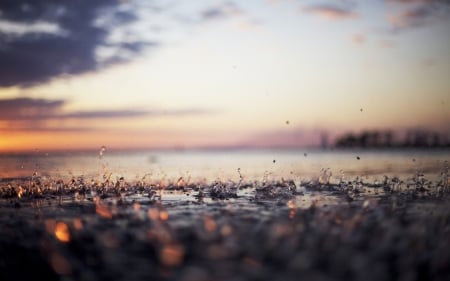 Rain Drops In The Sea - water, nature, rain, drops, sea