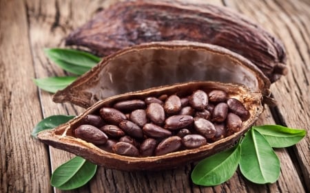 Cocoa Beans - beans, nature, cocoa, shells