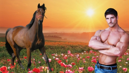 Man with Horse At Sunrise - male, flowers, sunrise, horse