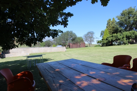 Vrede - shade, picnic, green, pool