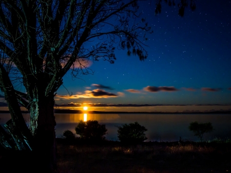 Lake Reflection - nature, lake, landscape, trees, evening, reflection, clouds, sunset