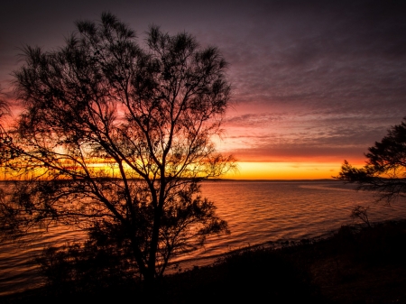 Evening Sky - nature, sky, lake, trees, evening, clouds, river, sunset