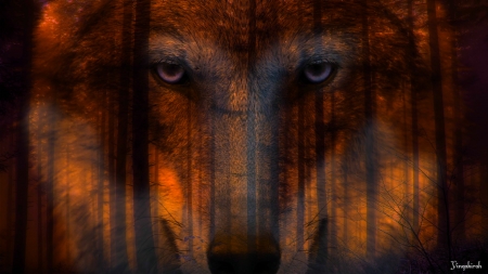 Enchanted Forest - wolf, forest, fantasy, trees