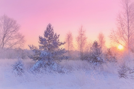 Winter - wooden, winter, landscape, house, trees, mountain, snow