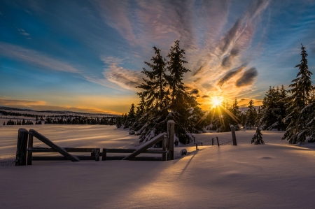 Winter  sunset - mountain, snow, wooden, winter, sunset