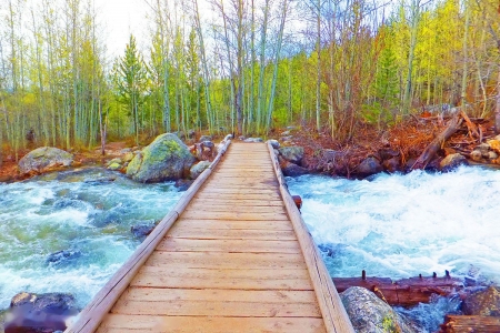 Taggart Creek Footbridge, Grand Tetons, Wyoming - trees, river, water, leaves, stones