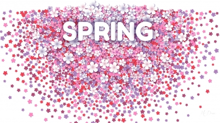 SPRING - blooms, blossoms, lavender, summer, spring, pink, flowers, spray, floral