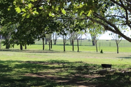 Vrede - trees, farm, green, peace