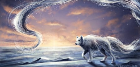 Arctic breeze - winter, blue, wolf, snow, pink, tail, arctic breeze, fantasy, aurora, pixx-73, art