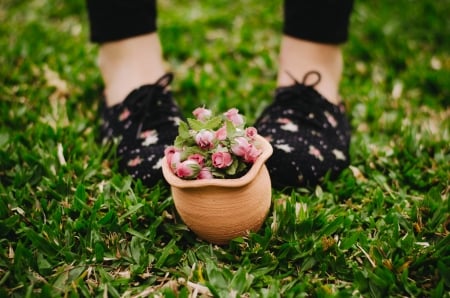 Little flowers - flower, legs, pot, pink, green, grass