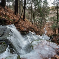 forest waterfall