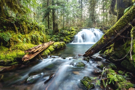 Lost Creek - Waterfalls & Nature Background Wallpapers on Desktop Nexus ...