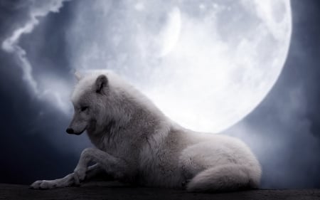 White Wolf