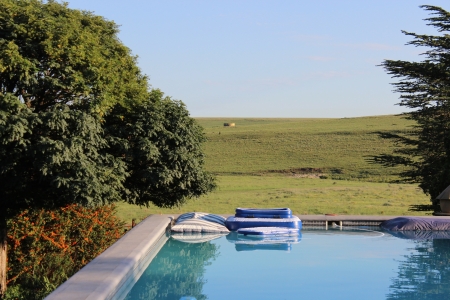 Vrede - fun, summer, green fields, swimming