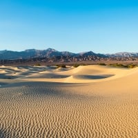 golden dunes by the mountain