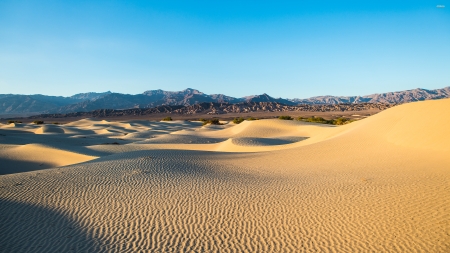 golden dunes by the mountain - dunes, sand, desert, mountain