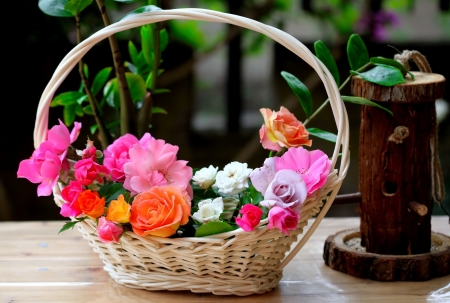 Flowers in basket - freshness, beautiful, colorful, flowers, basket, garden, still life