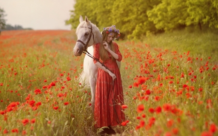 Beauty in Flower Field - woman, field, flowers, horse