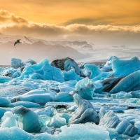 spectecular ice floes in joekulsarlon glacier lagoon iceland