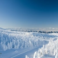 Yamagata Zao Onsen Ski Resort