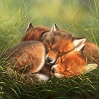 Warm Baby Foxes